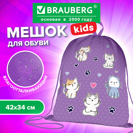 Мешок для обуви BRAUBERG KIDS, с петлей, 42х34 см, "Playing kittens", 272413