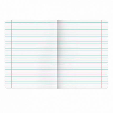 Тетрадь 18 л. ЮНЛАНДИЯ линия, обложка картон, STREET STYLE, 107303