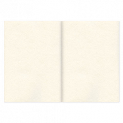 Скетчбук, слоновая кость 100 г/м2, 210х297 мм, 120 л., прошивка, BRAUBERG ART CLASSIC, 128960