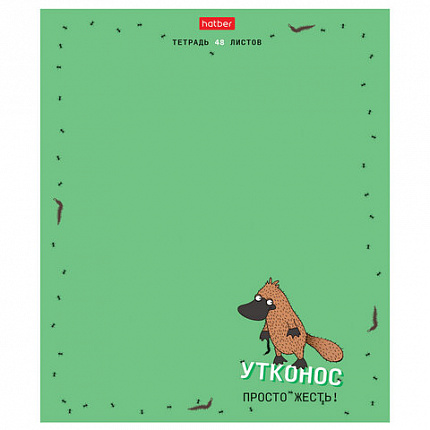 Тетрадь А5, 48 л., HATBER скоба, клетка, матовая ламинация, "Необычные герои" (микс в спайке), 088437, 48Т5лтВ1