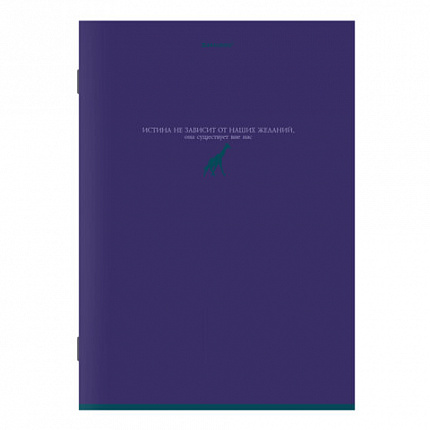 Тетрадь А4, 96 л., BRAUBERG, скоба, клетка, глянцевый лак, "Monocolor", (микс в спайке), 405322