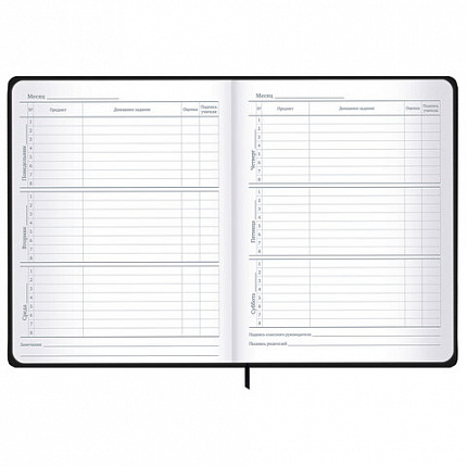 Дневник 1-11 класс 48 л., твердый, BRAUBERG, матовая ламинация, резинка, закладка-ляссе, с подсказом, "Дракон", 107240