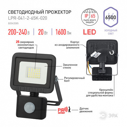Прожектор светодиодный ЭРА, датчик движения, 20(175) Вт, 6500К, 1600 Лм, IP65, черный, LPR-041-2-65K-020, Б0043585