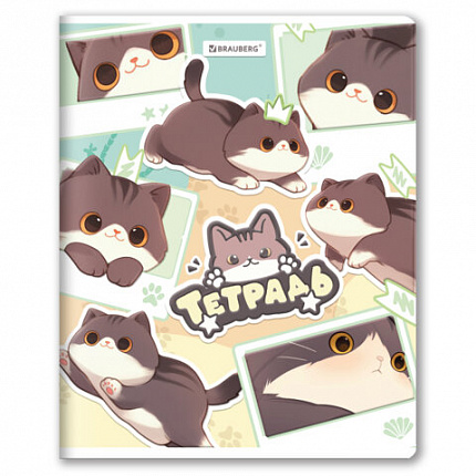 РЕЗЕРВ Тетрадь А5 48л. BRAUBERG МИЛЫЕ КОТЫ скоба, клетка, выборочный лак, 405193