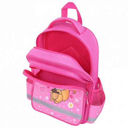 Рюкзак ПИФАГОР SCHOOL, 1 отделение, 3 кармана, "Squirrel", 38x28х14 см, 271404