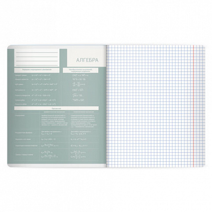 Тетрадь предметная MonoPastel 48л, пластиковая обложка, АЛГЕБРА, клетка, подсказ, BRAUBERG, 405501