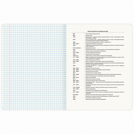 Тетрадь предметная МЕМЫ 48 л., TWIN-лак, ИСТОРИЯ, клетка, подсказ, BRAUBERG, 405103