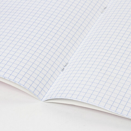 Тетрадь 24 л. BRAUBERG КЛАССИКА NEW клетка, обложка картон, АССОРТИ (5 видов), 105702