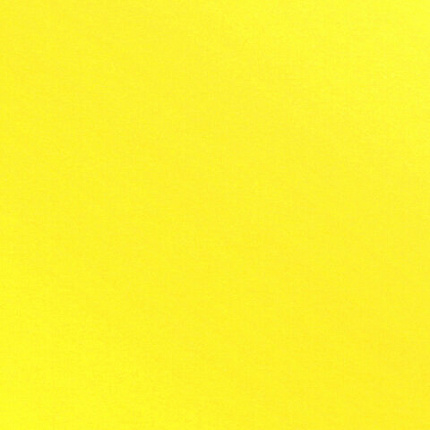 Картон цветной А4 МЕЛОВАННЫЙ, 24 листа,12 цветов, в папке, BRAUBERG KIDS, 203х283 мм, "Джунгли", 115158