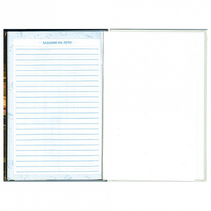 Дневник для музыкальной школы 140х210 мм, 48 л., твердый, BRAUBERG, справочный материал, "Концерт", 103279