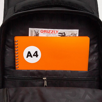 Рюкзак GRIZZLY школьный, анатомическая спинка, 3 отделения, для мальчиков, "ANGER", 42х31х22 см, RU-538-4/1