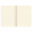 Тетради 60 л. в линию обложка SoftTouch, НАБОР 2 шт., бежевая бумага 70 г/м2, сшивка, B5 (179х250 мм), ВПЕЧАТЛЕНИЕ, BRAUBERG, 403825