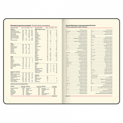 Ежедневник недатированный БОЛЬШОЙ ФОРМАТ 210х297 мм А4, BRAUBERG "Status", 160л, черный, 113360