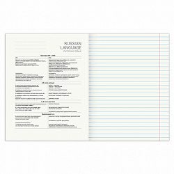 Тетрадь предметная "SPORT CLUB" 48 л., обложка картон, РУССКИЙ ЯЗЫК, линия, подсказ, BRAUBERG, 404803