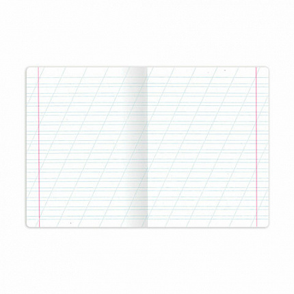 Тетрадь 12 л. BRAUBERG косая линия, обложка картон, CATS AND DOGS, 107288