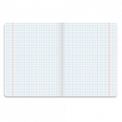 Тетрадь предметная "PASTEL" 48 л., SoftTouch, фольга, ФИЗИКА, клетка, BRAUBERG, 404319