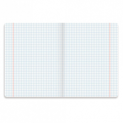 Тетрадь предметная "PASTEL" 48 л., SoftTouch, фольга, ФИЗИКА, клетка, BRAUBERG, 404319