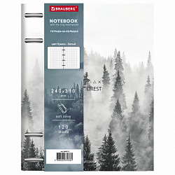 Тетрадь на кольцах БОЛЬШАЯ А4 (240х310 мм), 120 л., под кожу, BRAUBERG VISTA, "Туман", 404515