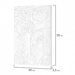 Картина по номерам 40х50 см, ОСТРОВ СОКРОВИЩ "Кот и снегири", на подрамнике, акрил, кисти, 662899