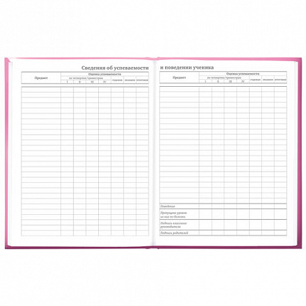 Дневник 5-11 класс 48 л., твердый, BRAUBERG, выборочный лак, с подсказом, "Brings Joy", 107194