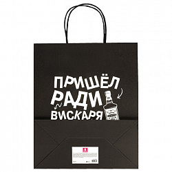 Пакет подарочный (1 штука) 26х13х32 см (L) "Man Funny Notes", ассорти, крафт, ЗОЛОТАЯ СКАЗКА, 700823