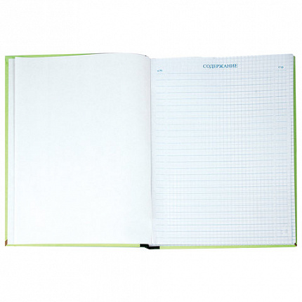 Книга учета 128 л., клетка, твердая, картон, блок офсет, нумерация, А4 (205х287 мм), STAFF, 130062