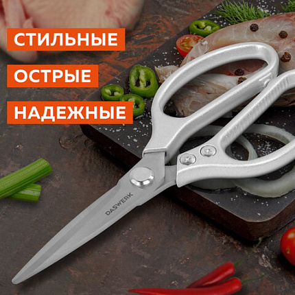 Ножницы кухонные DASWERK (ДАСВЕРК), 210 мм, удлиненное лезвие, металлические ручки, 608900