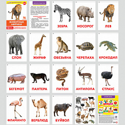 Карточки Домана, 8 развивающих брошюр по методике ГЛЕННА ДОМАНА, 145 изображений, ЮНЛАНДИЯ, 691022