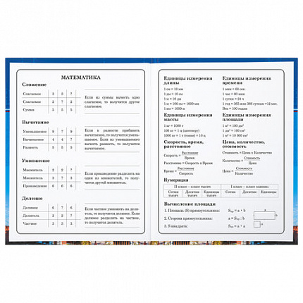 Дневник 1-4 класс 48 л., твердый, BRAUBERG, глянцевая ламинация, с подсказом, "Российский", 106832