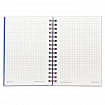Блокнот МАЛЫЙ ФОРМАТ А6 105х145 мм, 80 л., гребень, пластик, клетка, BRAUBERG, "Офисный", 125399