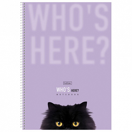 Тетрадь А4 96л. HATBER спираль, линия, матовая ламинация, Кто здесь? (микс в спайке),, 96Т4лВ2сп