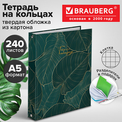 Тетрадь на кольцах А5 (175х215 мм), 240 листов, твердый картон, клетка, с разделителями, BRAUBERG, Листья, 404099