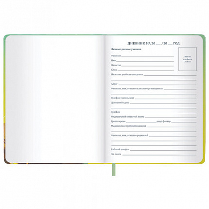 Дневник 1-11 класс 48 л., кожзам (твердая), печать, глиттер, ЮНЛАНДИЯ, "Котик", 107217