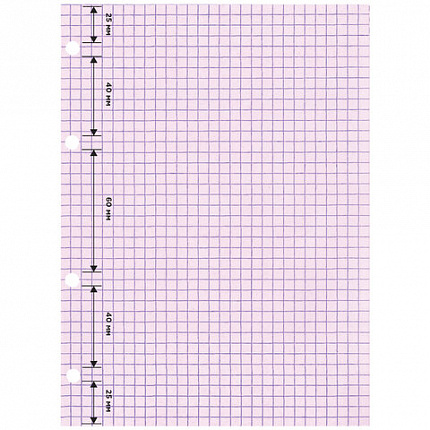 Сменный блок для тетради на кольцах, А5, 200 л., BRAUBERG, 4 цвета по 50 листов, 401661