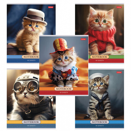 Тетрадь А5 48 л., HATBER скоба, клетка, обложка картон, "Котики-артисты" (микс в спайке), 085664, 48Т5В1