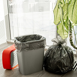 Мешки для мусора 60 л, черные, в рулоне 20 шт., ПНД, 7,4 мкм, 60х72 см, PACLAN "Standart"