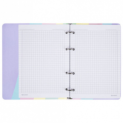 Тетрадь на кольцах А5 160х212 мм, 120 л., картон, матовая ламинация, клетка, BRAUBERG, кросс-серия PASTEL, 405197