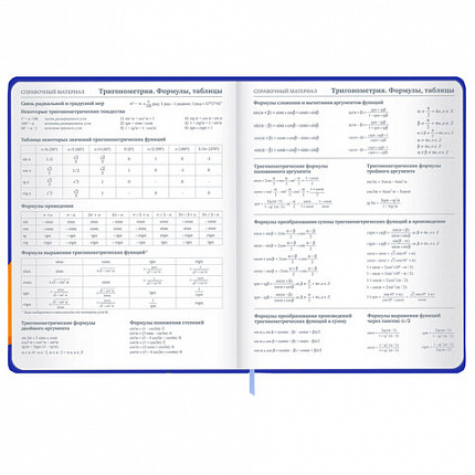 Дневник 1-11 класс 48 л., твердый, BRAUBERG, матовая ламинация, резинка, закладка-ляссе, с подсказом, "Гусь", 107237