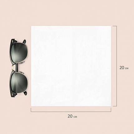 Салфетки косметические 100 шт. в картонном боксе 2-слойные, LAIMA "Everyday", 20х20 см, 113588