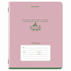 Тетрадь 24 л. BRAUBERG клетка, обложка картон, PHRASES, 107304