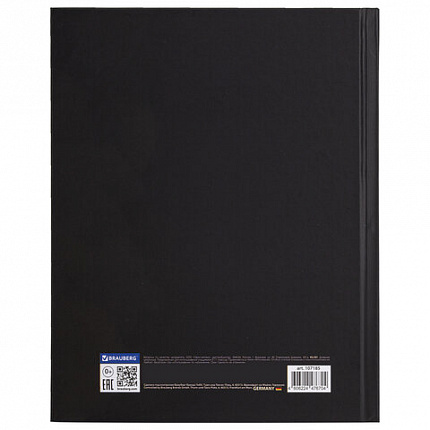 Дневник 5-11 класс 48 л., твердый, BRAUBERG, матовая ламинация, с подсказом, "Гитара", 107185