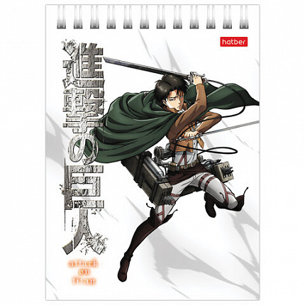 Блокнот МАЛЫЙ ФОРМАТ А6 110х145 мм, 40 л., гребень, лакированный, клетка, HATBER "Атака Титанов", 40Б6В1гр