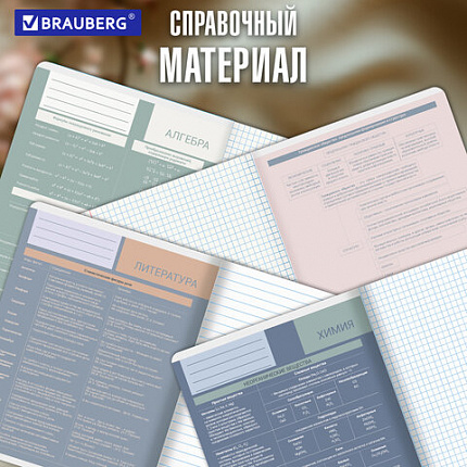 Тетради предметные, КОМПЛЕКТ 12 ПРЕДМЕТОВ 48л, пластиковая обложка, BRAUBERG "MonoPastel", 405540