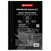 Фотобумага PREMIUM сатин, 10х15 см, 260 г/м2, односторонняя, 500 листов, BRAUBERG, 364002