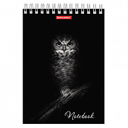Блокнот А5, 146х205 мм, 60 л., гребень, картон, жесткая подложка, клетка, BRAUBERG, "Животные", 129810