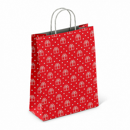 Крафт-пакет бумажный "Сюрприз" 22х12х25 см, с кручеными ручками, плотность 100 г/м2, белый, 113150