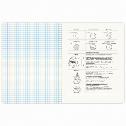 Тетрадь предметная ДАТЫ 48 л., TWIN-лак, ГЕОМЕТРИЯ, клетка, подсказ, BRAUBERG, 405127