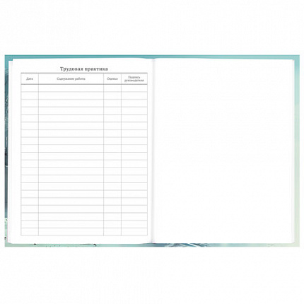 Дневник 5-11 класс 48 л., твердый, BRAUBERG, глянцевая ламинация, с подсказом, "Космический корабль", 107189