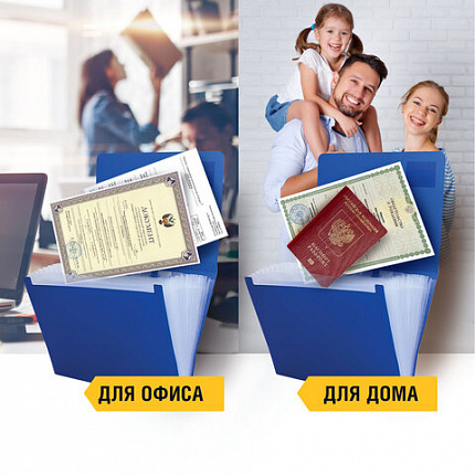 Папка на резинках BRAUBERG "Business", А4, 13 отделений, пластиковый индекс, синяя, 0,5 мм, 224146