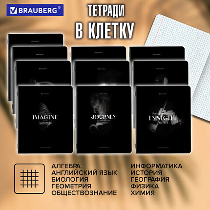 Тетради предметные, КОМПЛЕКТ 12 ПРЕДМЕТОВ, 48 л., матовая ламинация, BRAUBERG "SHADOWS", 405176